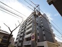 GIOIA住道