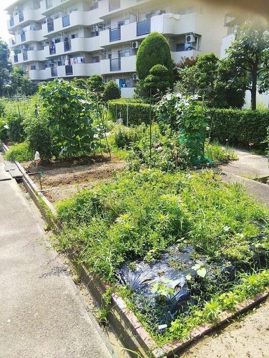 物件外観写真2　(周辺環境)