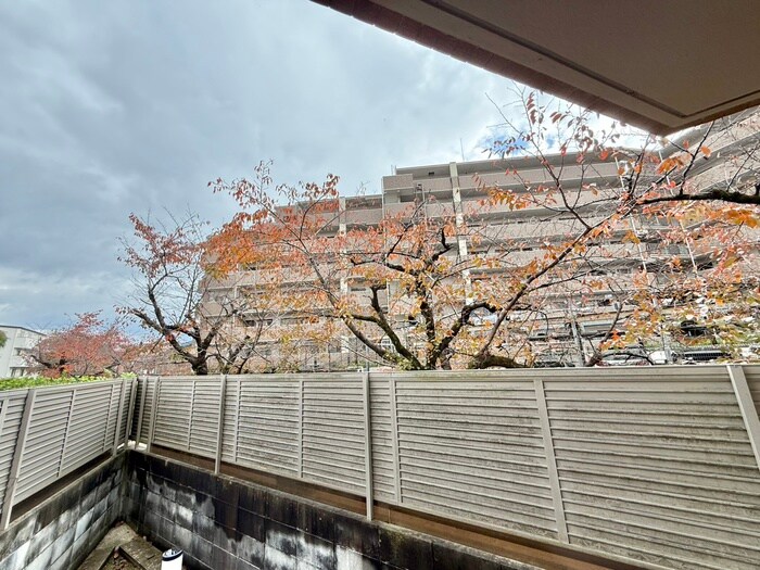 物件内観写真22　(室内からの展望)