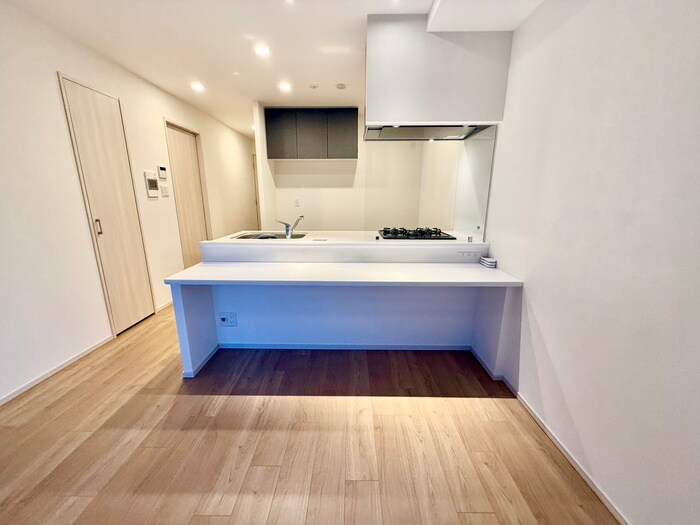 物件内観写真11　(キッチン)