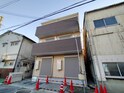 ALEGRIA巽西