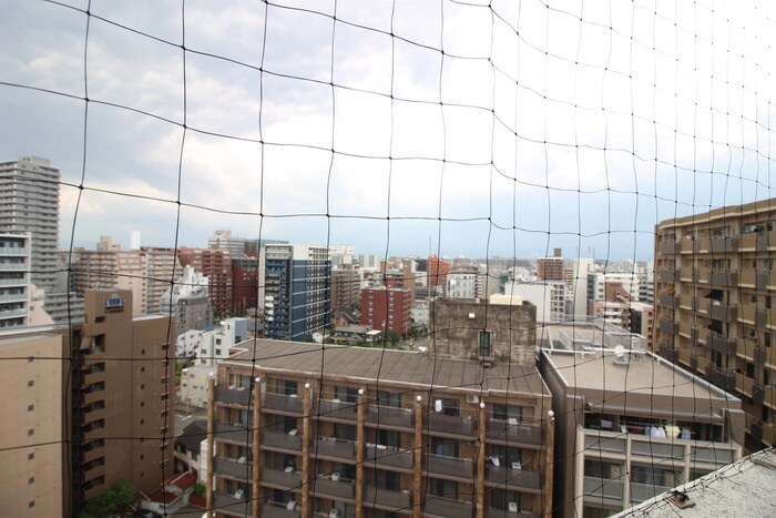 物件内観写真19　(室内からの展望)