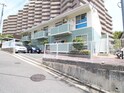 チサトハイツ