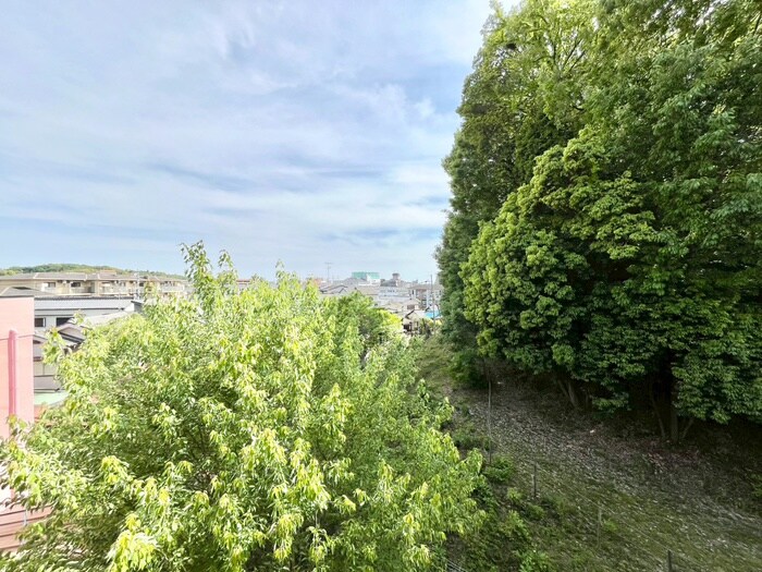 物件内観写真21　(室内からの展望)