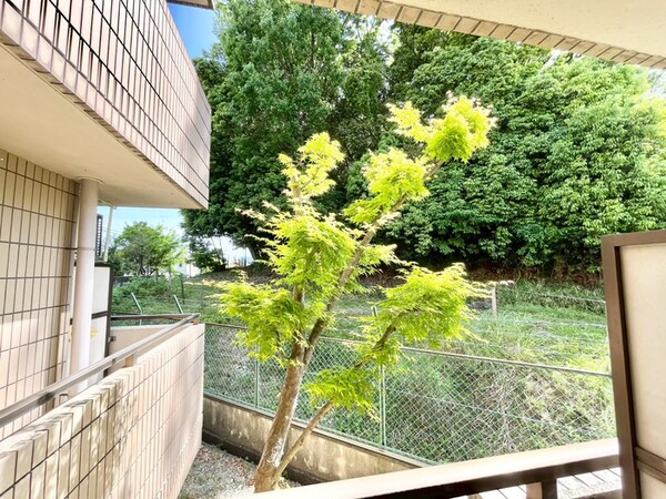 室内からの展望