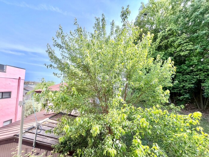 物件内観写真21　(室内からの展望)