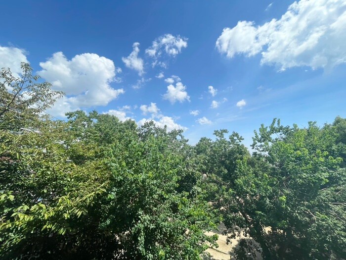 物件内観写真12　(室内からの展望)