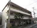 榎ハイツ