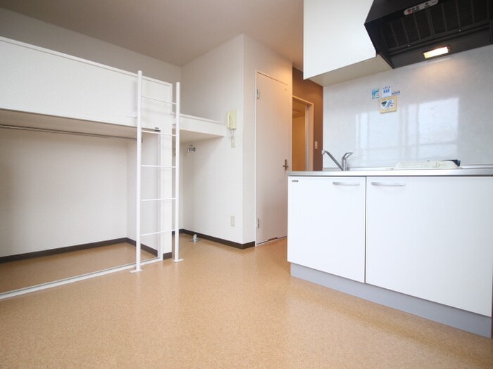 物件内観写真19　(居室)