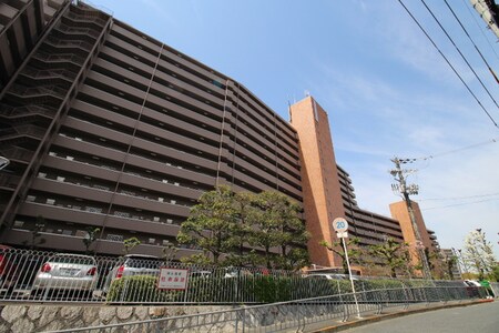 千里ｶﾞｰﾃﾞﾝﾊｲﾂ（311）外観写真
