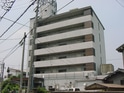 メゾンエルヴィ－