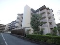 ｻﾝｼﾃｨ桂坂ﾛｲﾔﾙ弐番館(417)