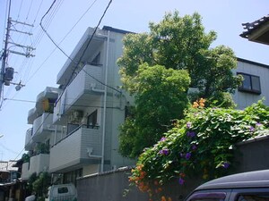 グレース桃谷外観写真
