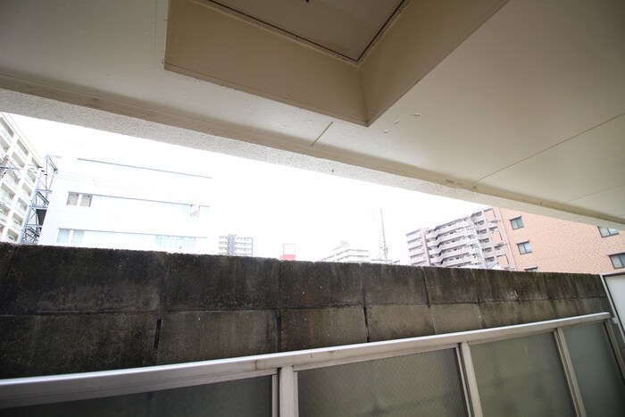 物件内観写真19　(室内からの展望)