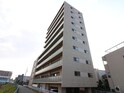 ラウロ相川リーヴァ(５０３)