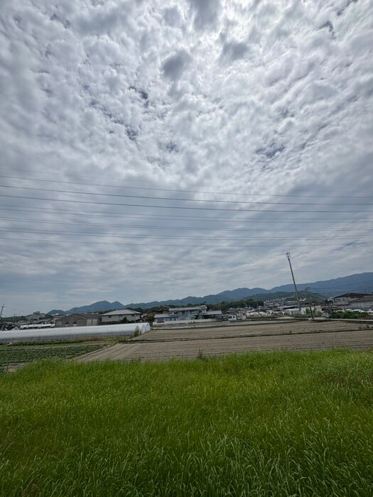 物件内観写真19　(室内からの展望)