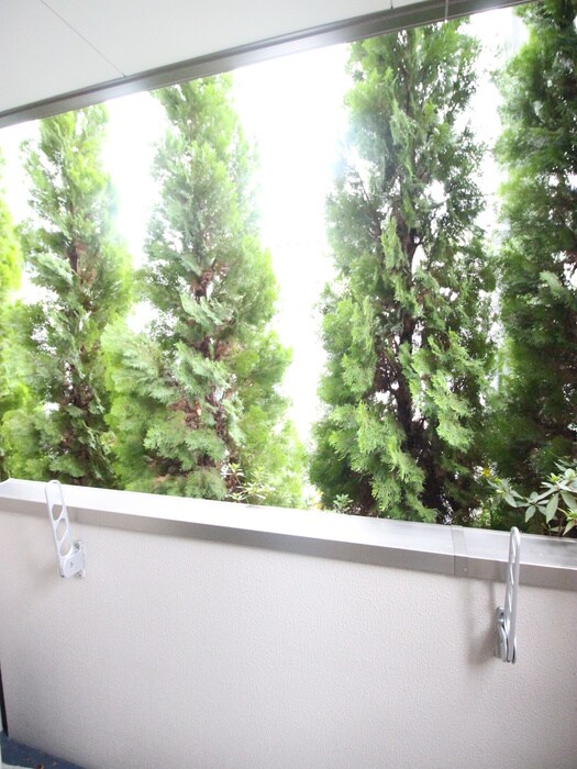 物件内観写真17　(室内からの展望)