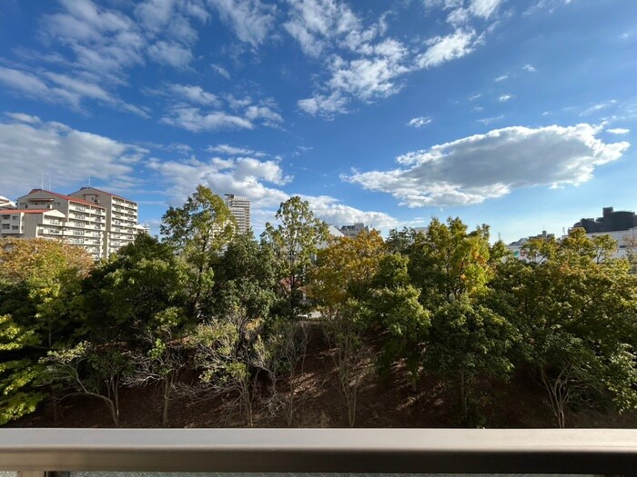 物件内観写真17　(室内からの展望)