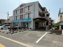ベル★サンセベリア