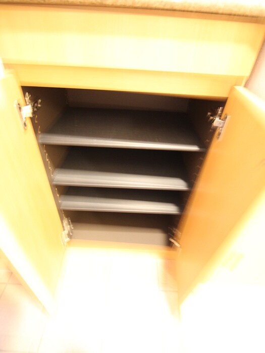 物件内観写真8　(靴箱)