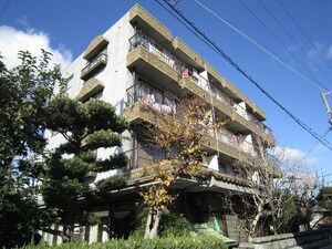 パステルハイム  タケダ外観写真