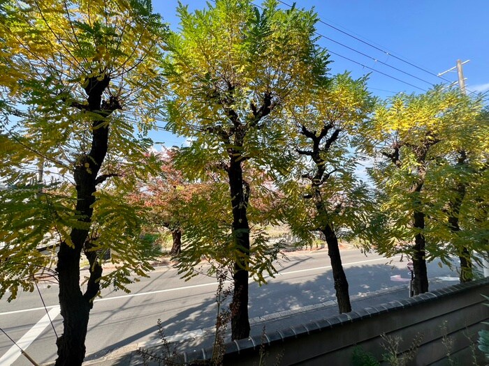 物件内観写真21　(室内からの展望)