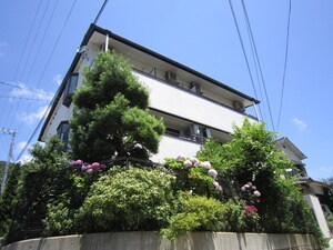 村田ハイツ外観写真