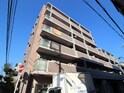 サンスギモト