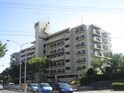 ﾗｲｵﾝｽﾞﾏﾝｼｮﾝ万博公園(707)