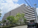 ｲﾄｰﾋﾟｱ千里万博公園（308）