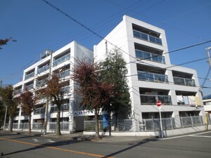 ネオハイツ井上外観写真