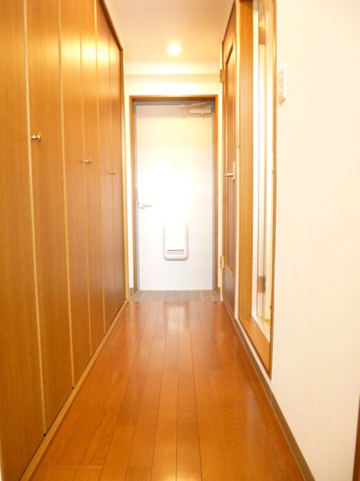 物件内観写真14　(廊下)