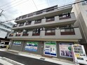 ステラ50