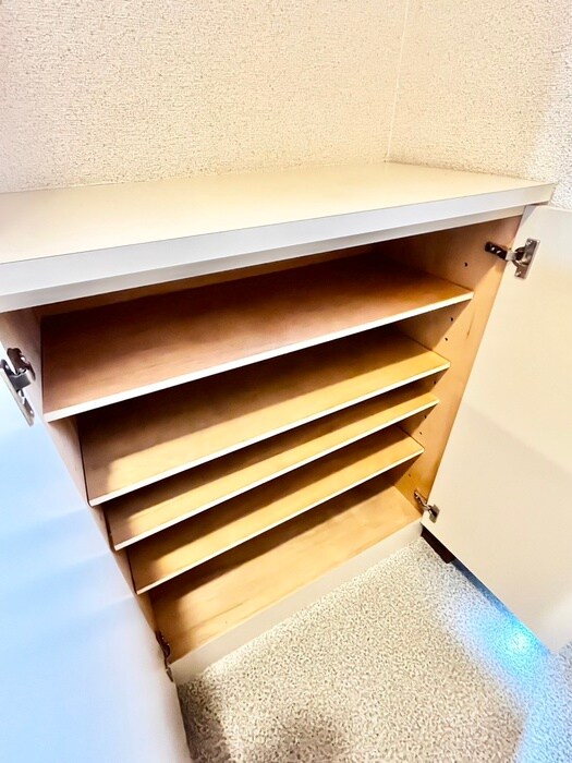 物件内観写真19　(靴箱)