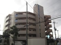 ＰＡＲＡＩＳ２０７ (ﾊﾟﾚ207)