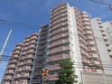 エステム堺・萩原天神（702）