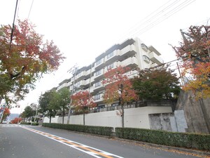 ハイツヒルトップス外観写真