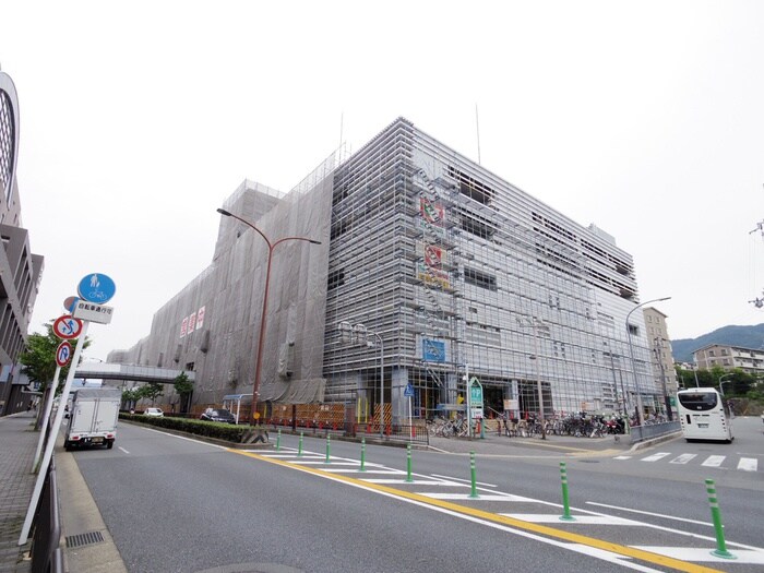 パセオダイゴロー