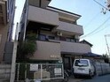 コウヨウ石橋
