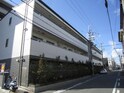 エヴァーホワイト