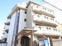 オリーブ沼町
