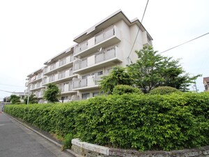 南宇治ﾛｰﾚﾙｺｰﾄＡ棟（205）外観写真