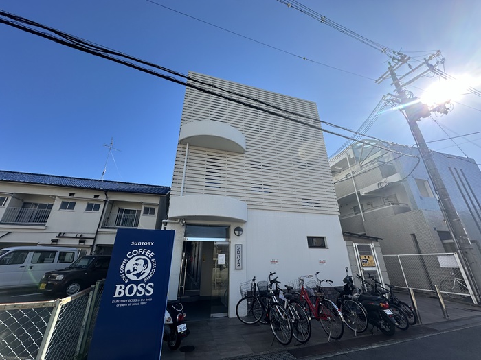 シロハイヌ