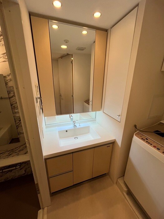 物件内観写真9　(洗面)