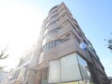 芦屋ファルファーラ