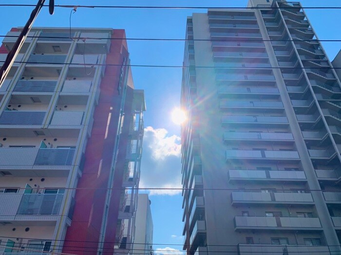 物件内観写真17　(室内からの展望)