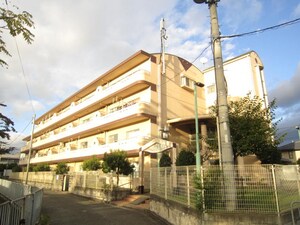 ルーインズ林外観写真