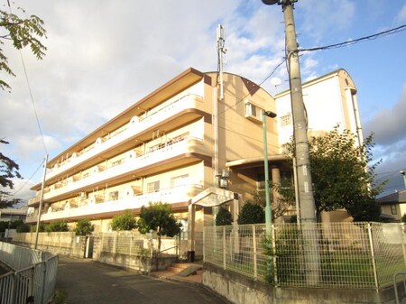 ルーインズ林外観写真