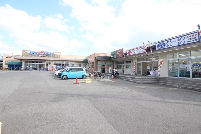 新鮮激安市場！