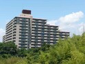ハイツ西鈴蘭台（921）